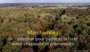Un calendrier pour partager la forêt de Marchiennes entre chasseurs et promeneurs