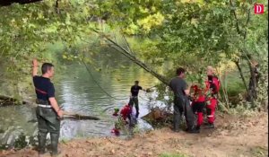 Tarn. Les images du sauvetage d'une vache coincée dans l'Agout