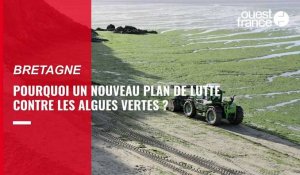 VIDÉO. Lutte contre les algues vertes en Bretagne : pourquoi un nouveau plan ?
