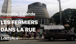 Les fermiers néo-zélandais protestent contre le projet de taxer les pets de vache 