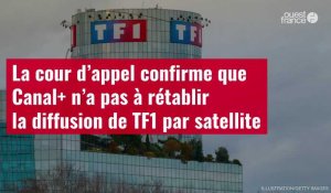 VIDÉO. La cour d’appel confirme que Canal+ n’a pas à rétablir la diffusion de TF1 par satellite