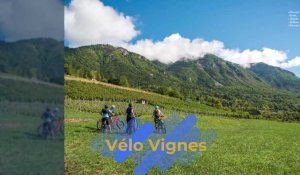 Vélo Vignes : 3 parcours à vélo pour découvrir le vignoble d'Ayze