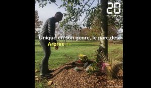 Près d'Angers, aux Arbres de mémoire, les cendres des défunts déposées dans les racines des arbres