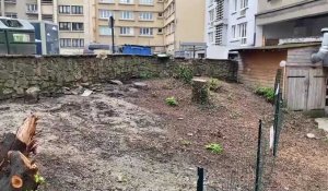Boulogne : des dizaines de rats choquent les habitants d’un quartier
