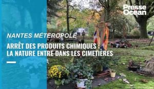 Nantes Métropole laisse la nature entrée dans les cimetières avec l’arrêt des traitements chimiques