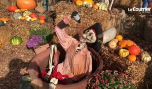 VIDÉO. Squelettes, sorcières et citrouilles : Terra Botanica fête l'automne