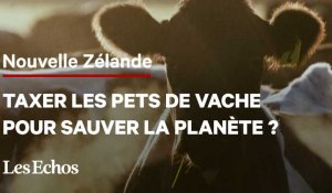 La Nouvelle-Zélande veut taxer les pets de vaches