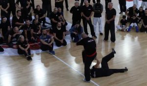 Stage de Krav Maga à Denain