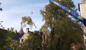Les arbres du parc du château sont enfin  étêtés à Bolland