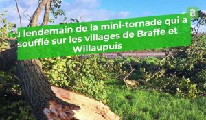 Une mini-tornade a soufflé sur les villages de Braffe et de Willaupuis