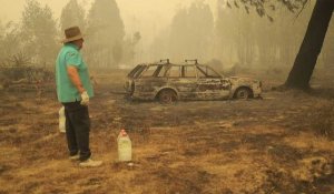 Les Chiliens examinent les dégâts causés par des incendies de forêt meurtriers