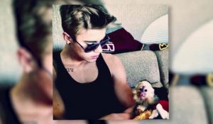 Justin Bieber reçoit une amende salée pour son singe