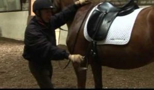 Equitation  - Comment monter à cheval ?