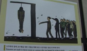 Droits de l'Homme: l'ONU appelle Pyongyang à lui ouvrir la porte