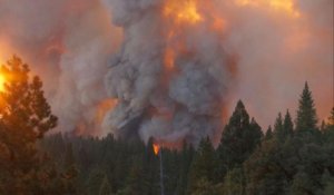 Etats-Unis: incendie gigantesque près du parc de Yosemite