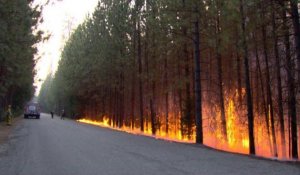 USA: l'incendie continue de s'étendre au parc de Yosemite