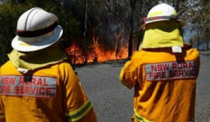 Incendies en Australie : les pompiers fusionnent deux feux pour mieux les maîtriser