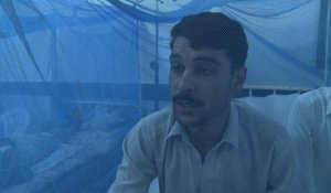 Pakistan: 23 morts de la dengue à Swat