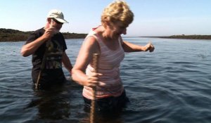 Triélen-Molène: la marche dans la mer aux confins du Finistère