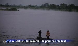 Lac Malawi: les pêcheurs face à une pénurie de poisson