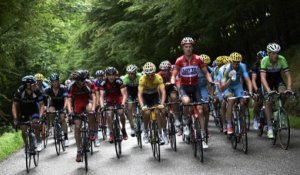 Tour de France 2014 10ème étape (Mulhouse / La Planche des Belles Filles) : Vincenzo Nibali remporte l'étape