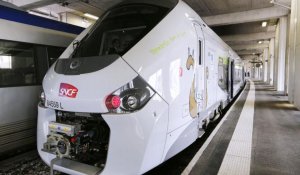 La SNCF a commandé des rames de TER trop larges pour les quais