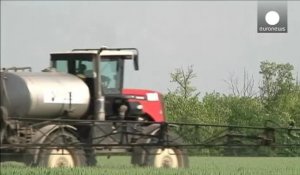 Russie : les producteurs de blé attendent désespérément la pluie