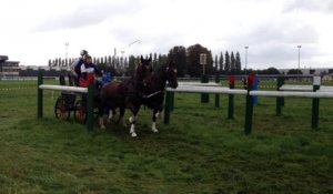 Marathon du concours d'attelage à Lisieux