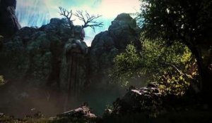 The Bard's Tale IV - In-Engine Video