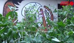 Rennes : la maison de Maryvonne totalement vandalisée par les squatteurs