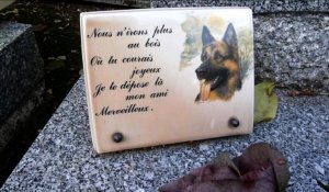 Au cimetière des chiens d'Asnières, les animaux reposent en paix