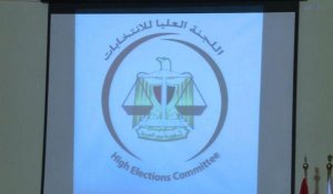 Egypte: six ONG étrangères pour le scrutin constitutionnel