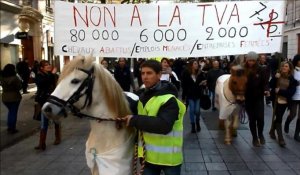 Marche anti-équitaxe à Lyon