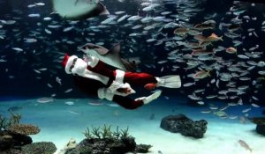 Le Père Noël nage au milieu des poissons à Tokyo