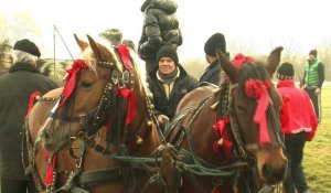 Roumanie: des chevaux bénis pour l'Epiphanie