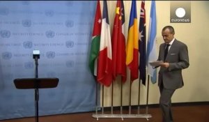 L'ONU donne son feu vert pour des renforts européens en Centrafrique