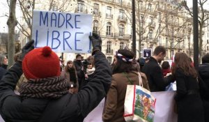 Manifestation à Paris contre la loi anti-IVG espagnole