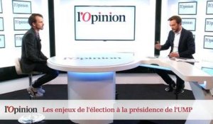 Décryptage : Présidence de l'UMP : les enjeux de l'élection 