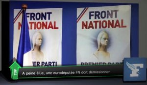 Top Média : à peine élue, une eurodéputée FN doit démissionner