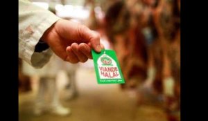 Le faux scandale de la viande Halal