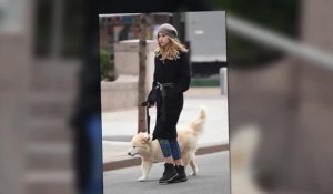 Le mannequin Suki Waterhouse sort le chien de son petit-ami Bradley Cooper