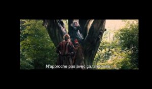 Into the Woods - Extrait : I Don't Like That Woman