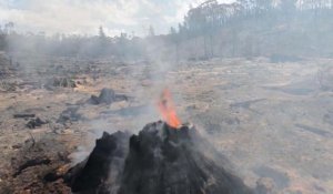 Feux de forêt en Australie: une victime témoigne