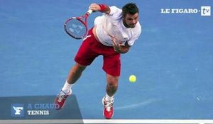 Open d'Australie: «La défaite de Djokovic ? Une immense sensation»