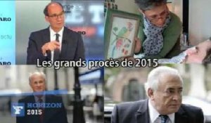 Bettencourt, DSK, Vincent Lambert : 2015, une année de grands procès