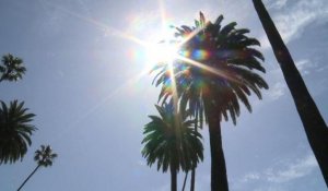 La sécheresse pousse Beverly Hills à réduire son train de vie