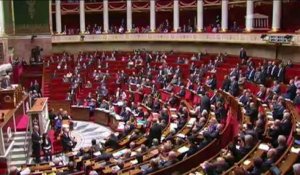 Duflot demande une minute de silence pour Rémi Fraisse à l'Assemblée: Bartolone refuse
