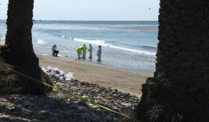 Marée noire en Californie: les équipes de nettoyage à l'oeuvre