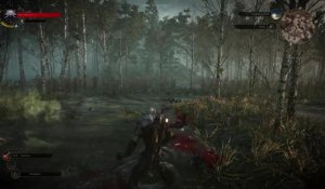 The Witcher 3 : Wild Hunt - 35 minutes de gameplay