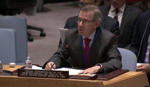 Libye: l'ONU appelle à un cessez-le-feu